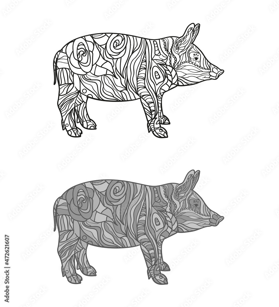 Hand drawn outlined pig on isolated background. Design for spiritual relaxation for adults. Freehand art. Different color options. Black and white illustration