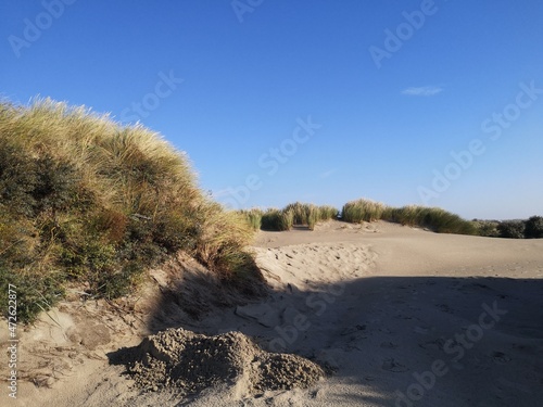 Herbst auf Borkum, Greune Stee
 photo