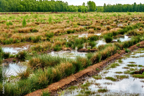 Fotografie Water-filled drainage trenches in a moorland for draining for peat extraction