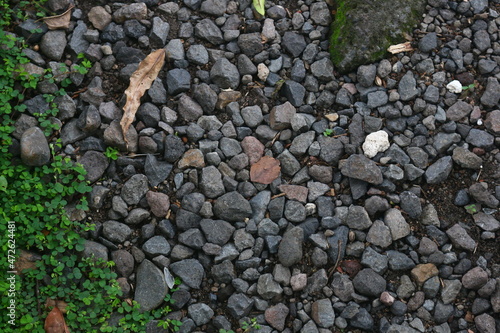 gravel that is used as a road so that it is not muddy where it is covered with plants that grow around