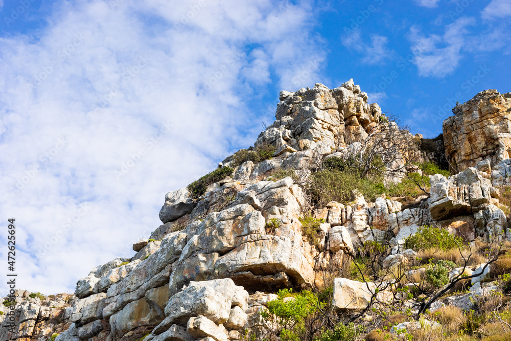 Naklejka premium Rugged mountain landscape with fynbos flora in Cape Town