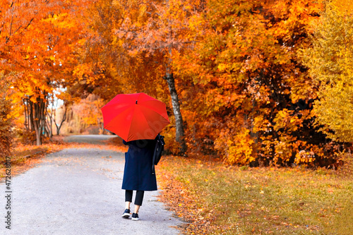 walking in the autumn park photo