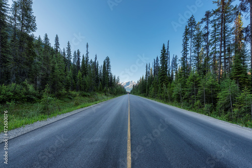 Scenic Highway in forest. Icefields Parkway in Canadian Rockies, between Jasper and Banff, Canada 