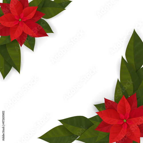 Vector illustration of a frame with a Christmas poinsettia plant.