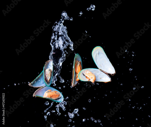 Foto Mussels on the flaps with water splash