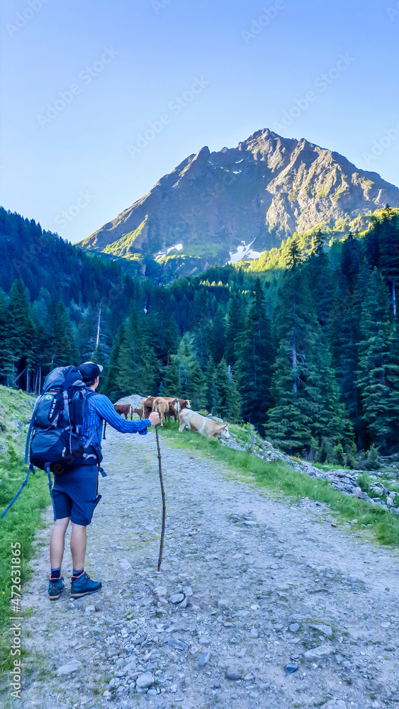 Man with a big backpack standing on the trail and looking at the first sunbeams touching the mountain peaks. He supports on a wooden stick. Calm and serene morning in Alps. Schladming region, Austria