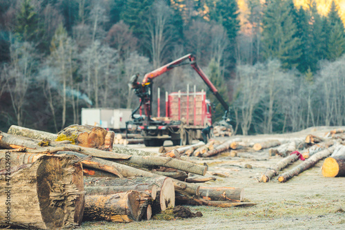 Lumber price has escalated because there is a huge demand for lumber across the country. Due to a shortage of wood  timber prices have soared  thereby adding to the rising cost of new homes