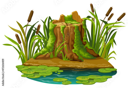 Stump in moss in marsh. Cartoon log in swamp jungle. Broken tree oak, salvinia, water lily. Isolated vector element on white background. photo