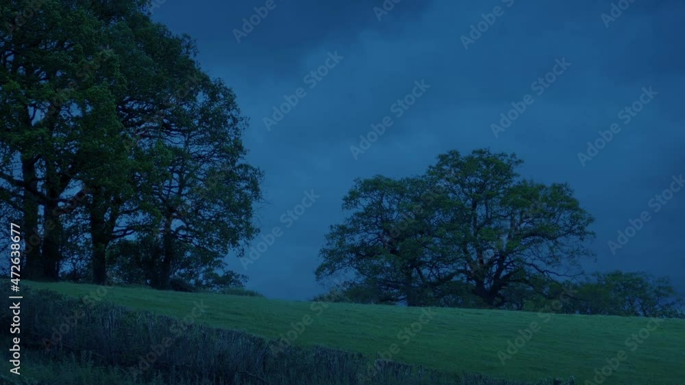 Field With Large Trees On Stormy Evening Field With Large Trees On Stormy Evening