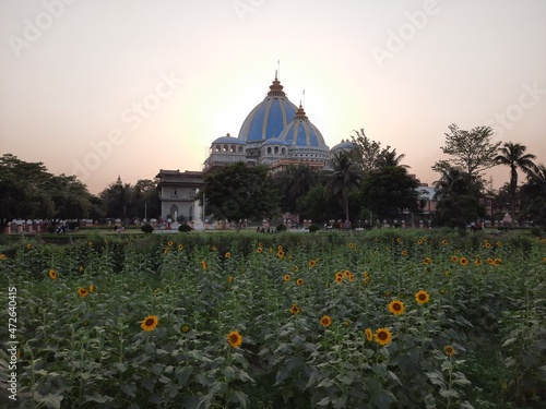 Temple of the Vedic Planetarium, ISKCON temple of Mayapur in west Bengal, world's largest Vedic temple, sunflower front of iskcon temple . photo