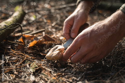 Unrecognizable man holding knife and picking mushrooms for cooking