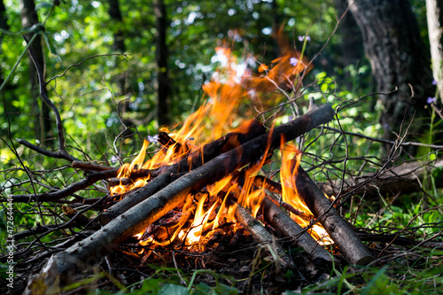 Bonfire in a forest area close up