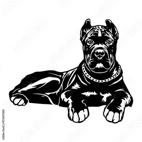 Cane Corso dog clipart. Young puppy Corso vector illustration file for cutting. Black dog animals