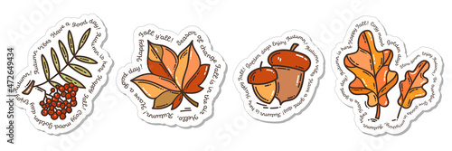 Colorful hand-drawn autumn nature sticker set with oak leaves, acorns, maple leaf, and a bunch of rowan in doodle style isolated on white background. Cute vector for seasonal decoration.