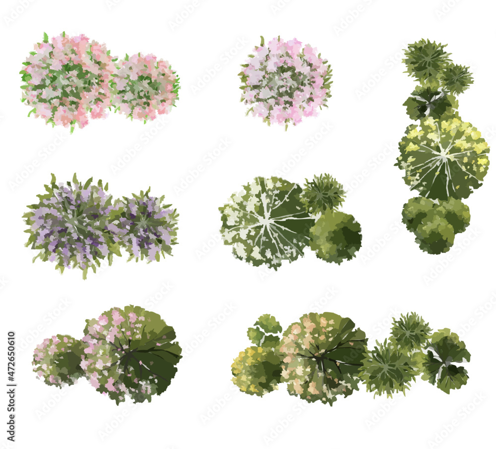 Vector of abstract watercolor tree top view isolated on white background for landscape plan and