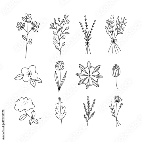 Flowers hand drawn set. Outline botanical illustrations