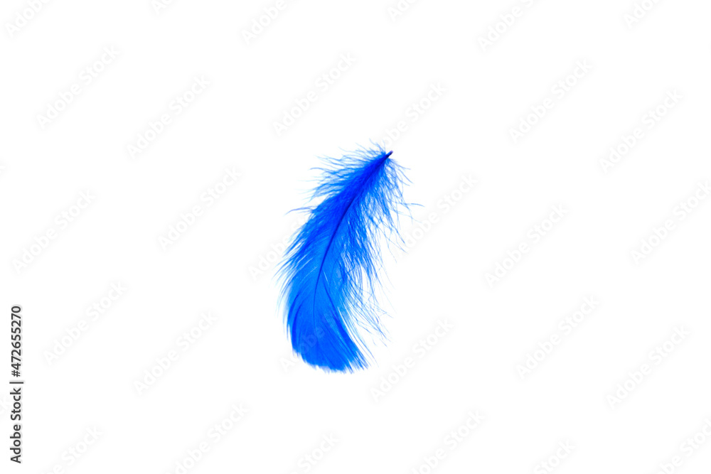 Blue feather isolated on white background. Blue feather isolated on white background.