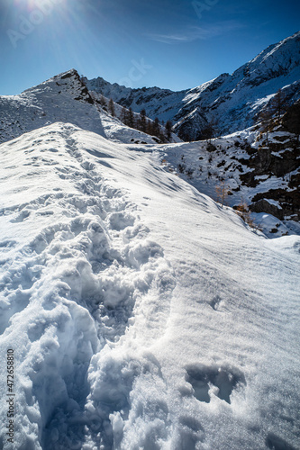 A snowy trail on the crest