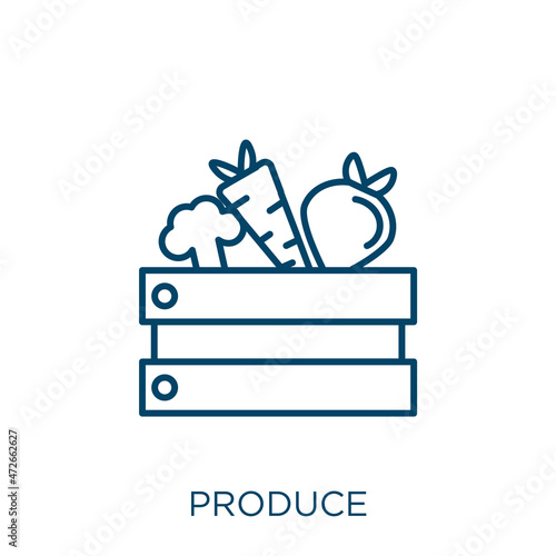 produce icon. Thin linear produce outline icon isolated on white background. Line vector produce sign, symbol for web and mobile.