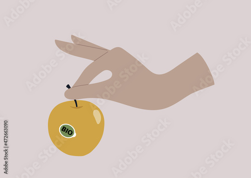 A hand holding an apple with a sticker on it, farmers market