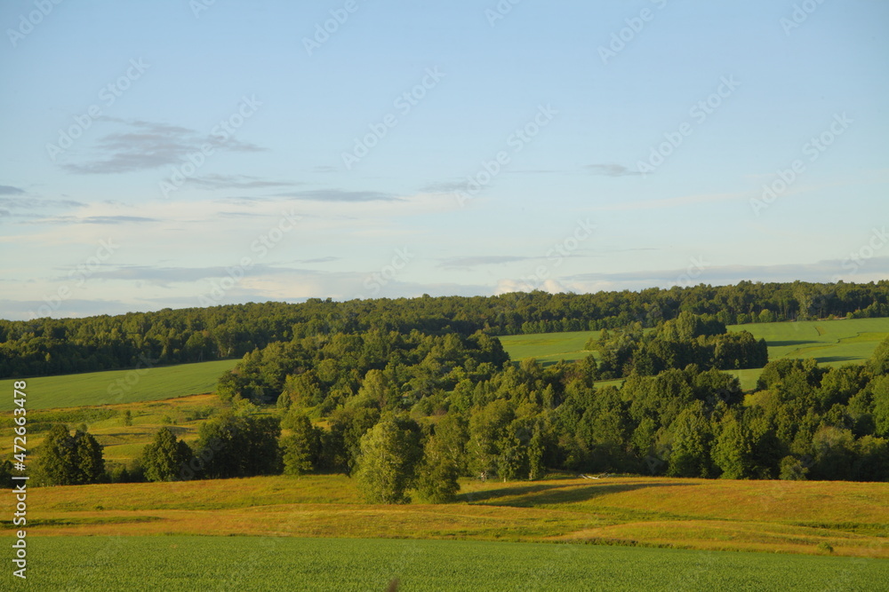 landscape with trees and blue sky