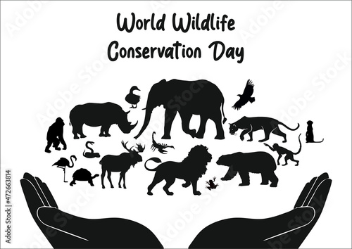 World Wildlife Conservation Day aims to protect endangered species since 2012  December 4