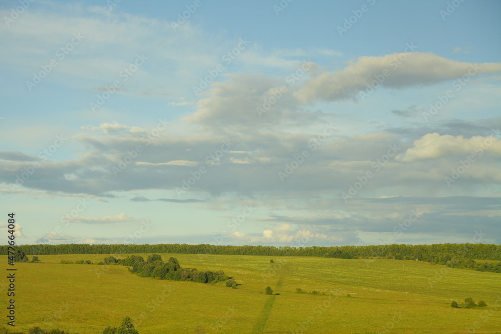 a field with grass and green forest, and a beautiful sky. scenery.