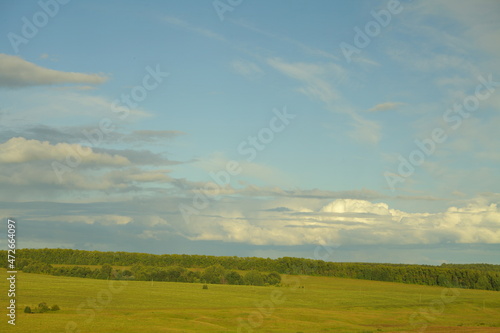 a field with grass and green forest, and a beautiful sky. scenery. 