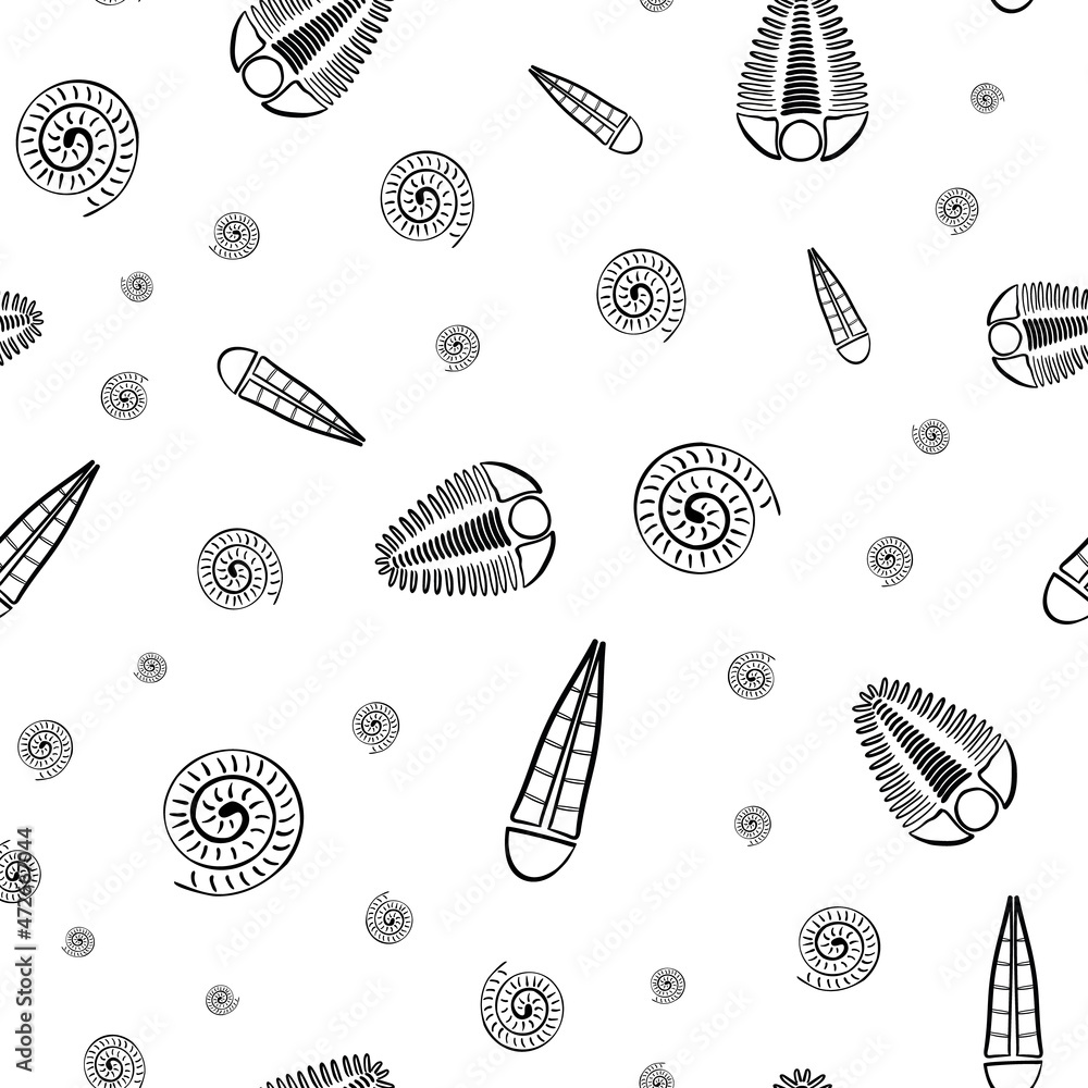 Ammonite trilobite haplophrentis vector seamless pattern background ...