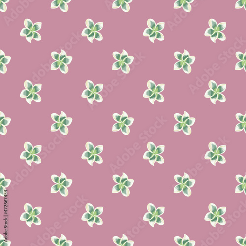Wallpaper Mural Exotic plumeria flower seamless pattern. Tropical wallpaper. Torontodigital.ca