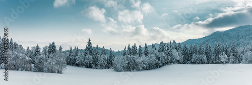 Wunderbare winterliche Märchenlandschaft im Allgäu