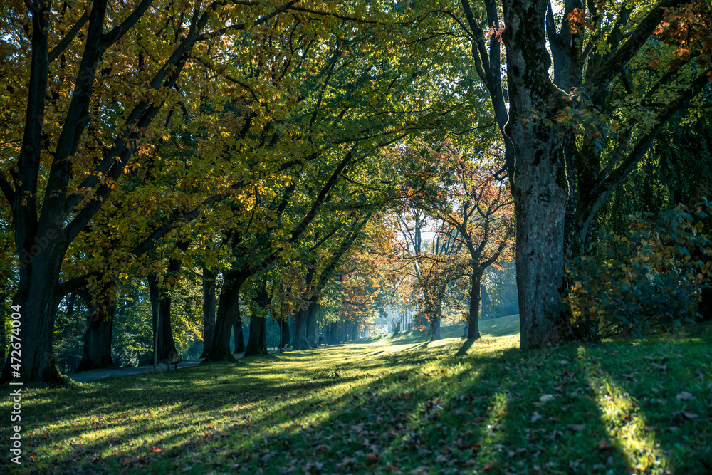 Die vom Herbst verfärbten Bäume im Historischen Park auf dem Bielefelder Johannisberg