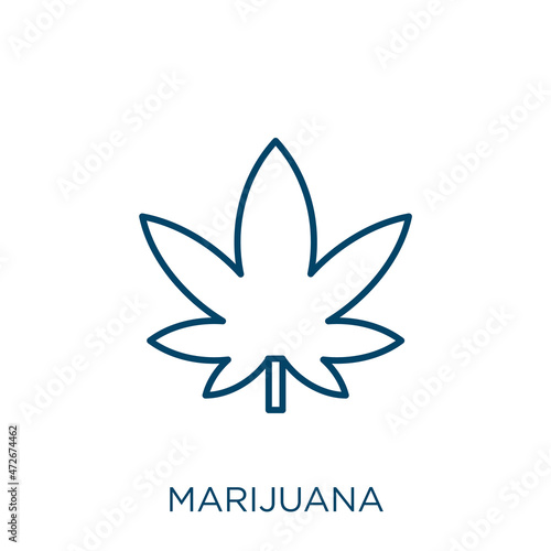 marijuana icon. Thin linear marijuana outline icon isolated on white background. Line vector marijuana sign, symbol for web and mobile.