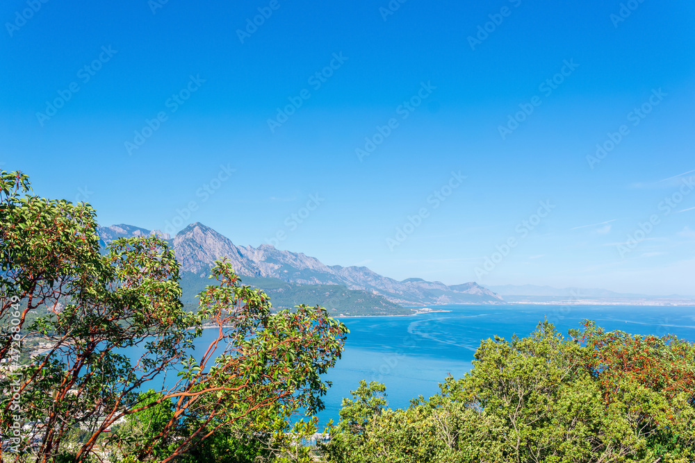 sea bay with a distant mountainous coast, view of mount Tahtali (Lycian Olympus) through the branches of trees in Antalya province, Turkey