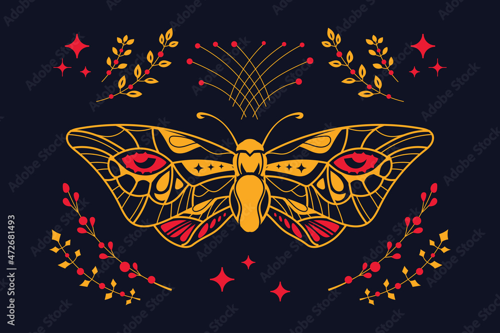 Esoteric Owl Butterfly Tropic Insect Concept Suitable for Decoration and Background