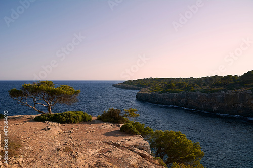 Coastal landscape between cliffs with vegetation. Mediterranean sea