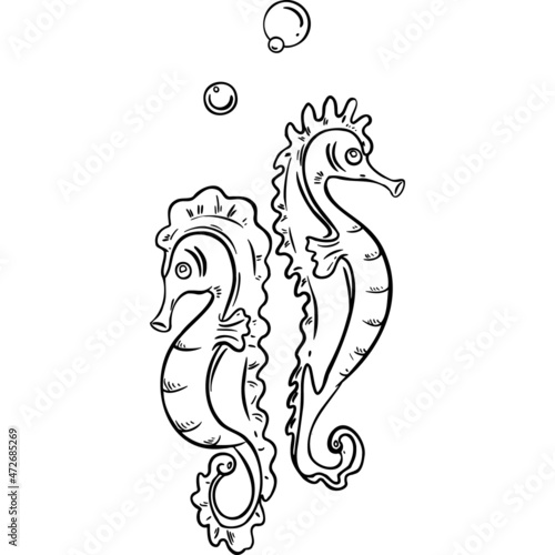 Two seahorses with bubbles sketch vector illustration