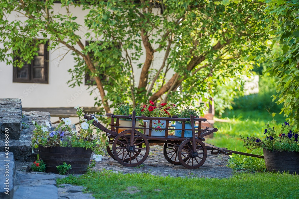 Garden composition with wooden rustic cart with bright flowers in the yard, Hungary