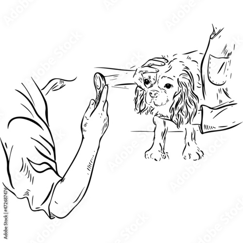 Realistic drawing of a dog on examination sketch vector illustration