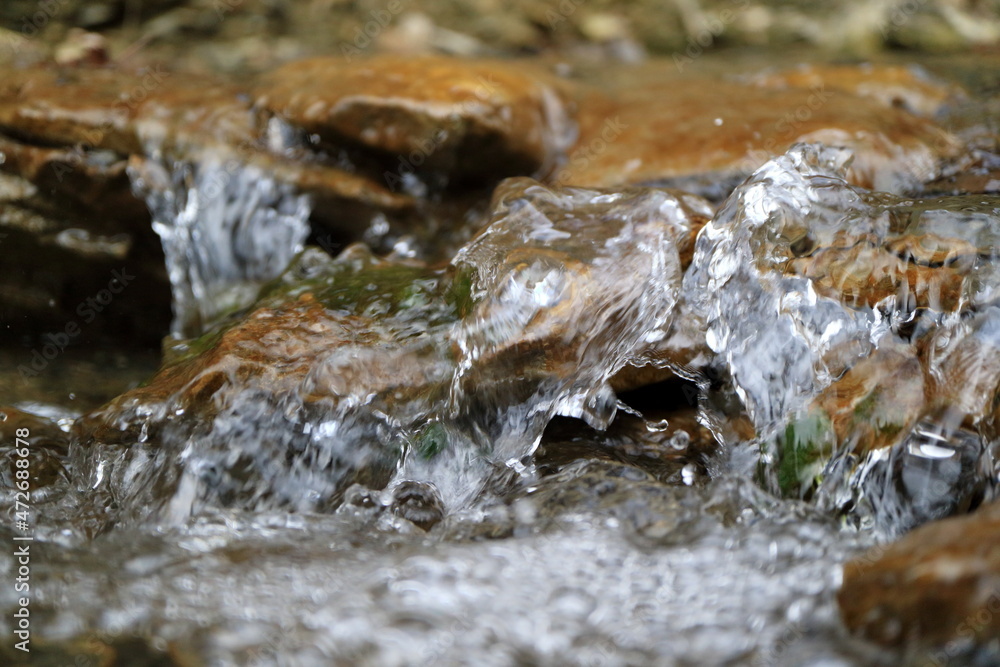 The image mountain stream with clean water.
