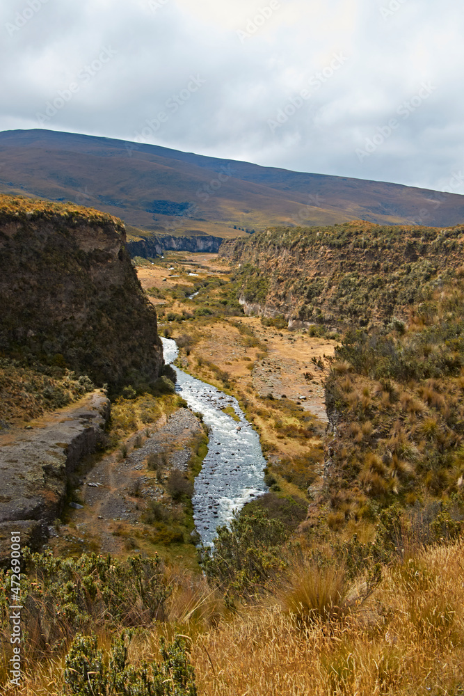 Landscape of the Andes, cold landscape Cotopaxi Ecuador