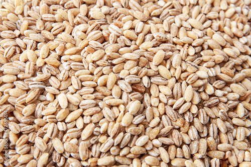 Dried pearl barley grains closeup flat food background