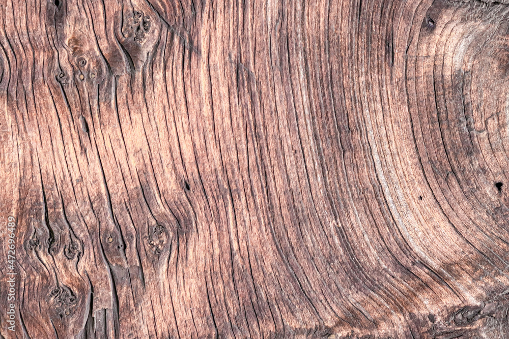 Fototapeta premium A burl light brown wood as background. 