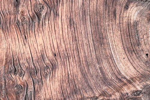 A burl light brown wood as background. 