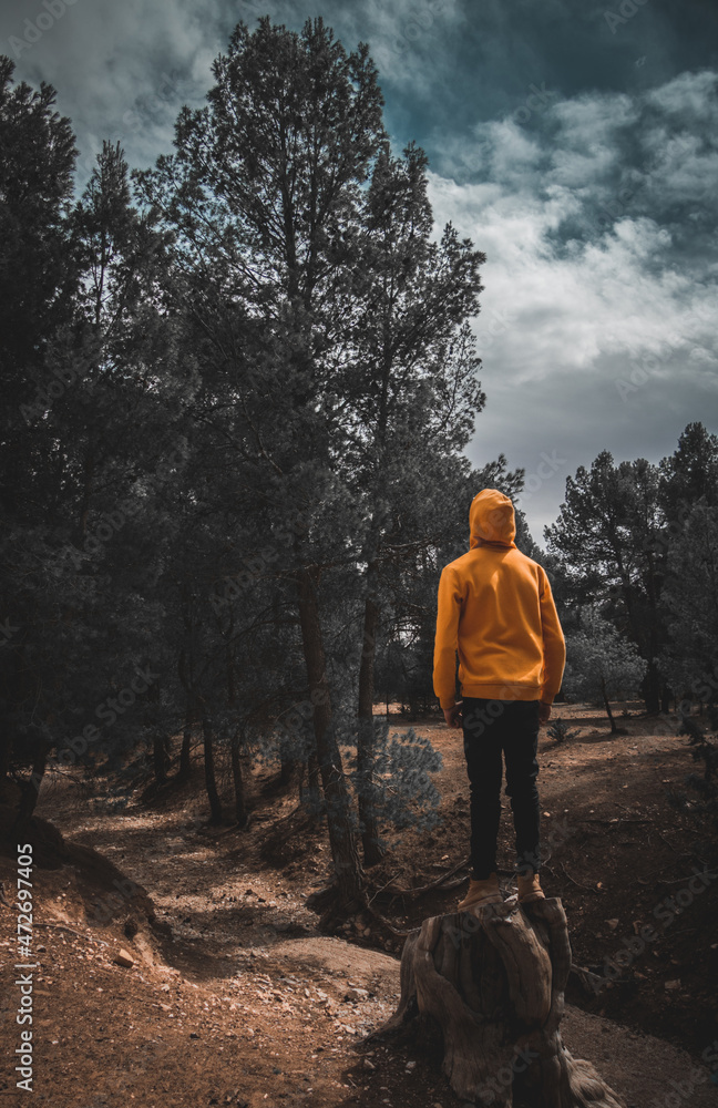 person in the forest wearing a yellow jacket