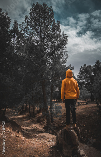 person in the forest wearing a yellow jacket