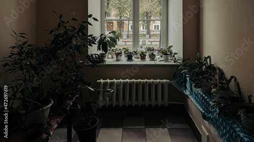 interior with plants