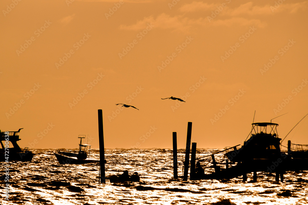 Silhouette of the pier with boats, pelicans and observer at sunset in Caribbean Bavaro beach, Punta Cana, Dominican Republic