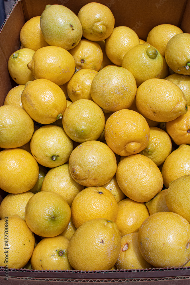 Large Box Filled with Ripe Lemons Sits Next to a Lemonade Stand at the 2019 San Diego County Fair Large Box Filled with Ripe Lemons Sits Next to a Lemonade Stand at the 2019 San Diego County Fair