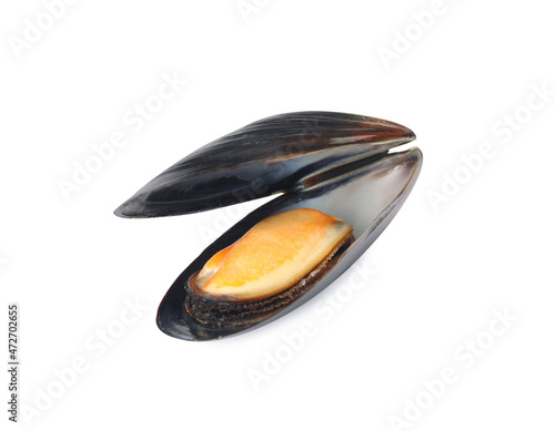 Delicious cooked mussel in shell isolated on white